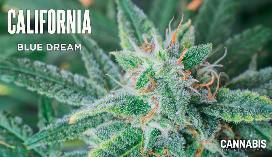The Top 10 Best-Selling Flower Strains in California in 2024