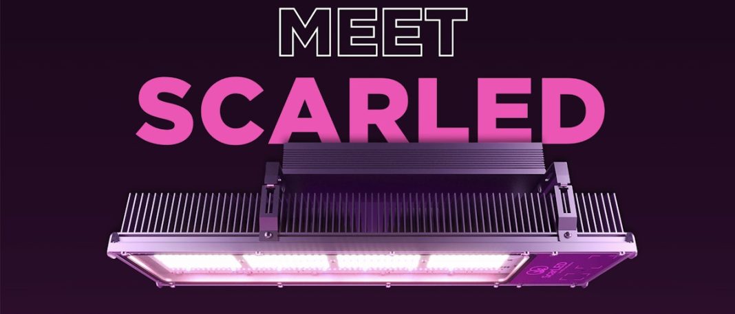 Cutting-edge LED Lighting for Precision Cannabis Cultivation