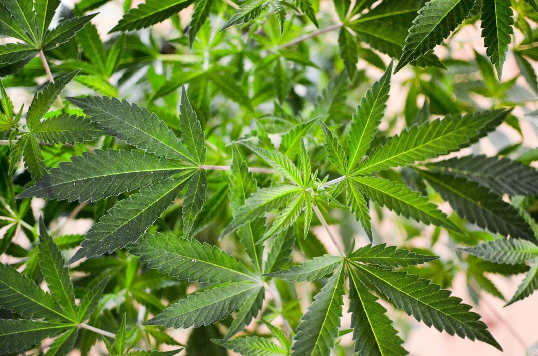 Bipartisan Pennsylvania Lawmakers Argue Over Strategy To Pass Marijuana Legalization Bill