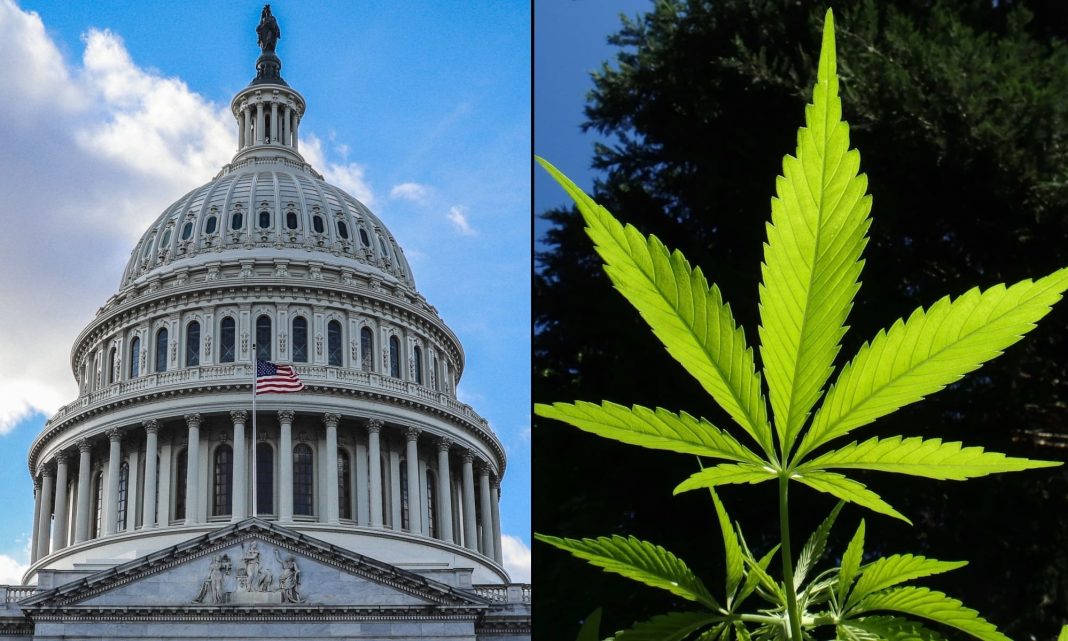 Congressional Committee Schedules Hearing On Chinese 'Invasion' Through 'Illegal Marijuana' Operations