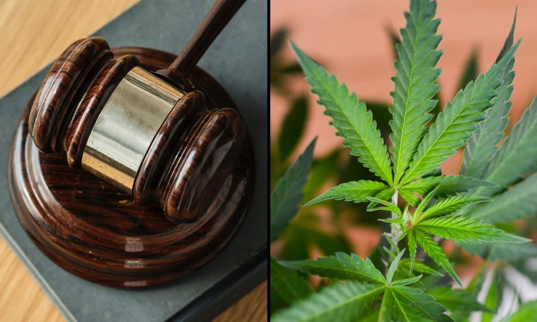 Florida Marijuana Legalization Campaign Sues State Over Alleged 'Unlawful' Attempt To Invalidate 200,000 Signatures For 2026 Ballot Initiative