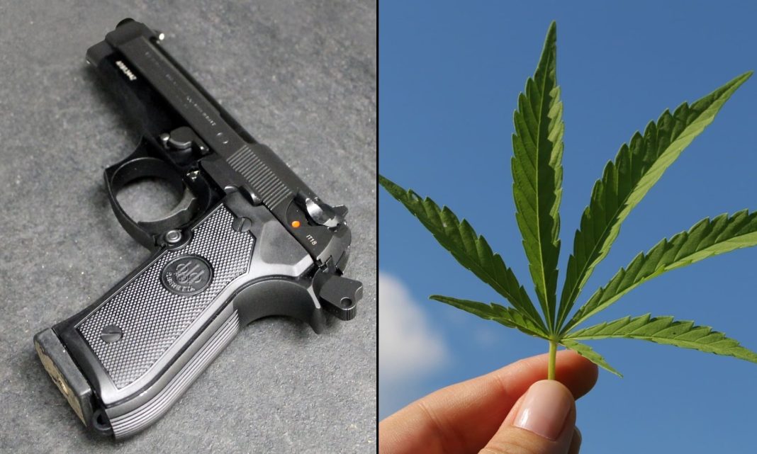 Trump DOJ Asks Supreme Court For Delayed Schedule In Case On Marijuana Users' Gun Rights