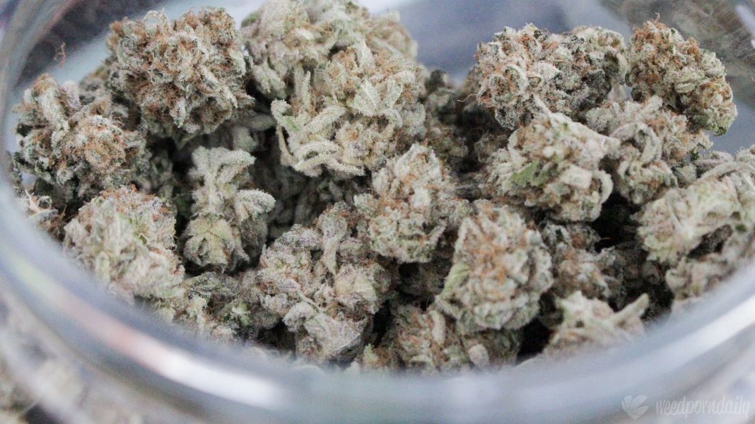 Tennessee Officials Reach Agreement With Hemp Industry To Temporarily Allow THCA Sales