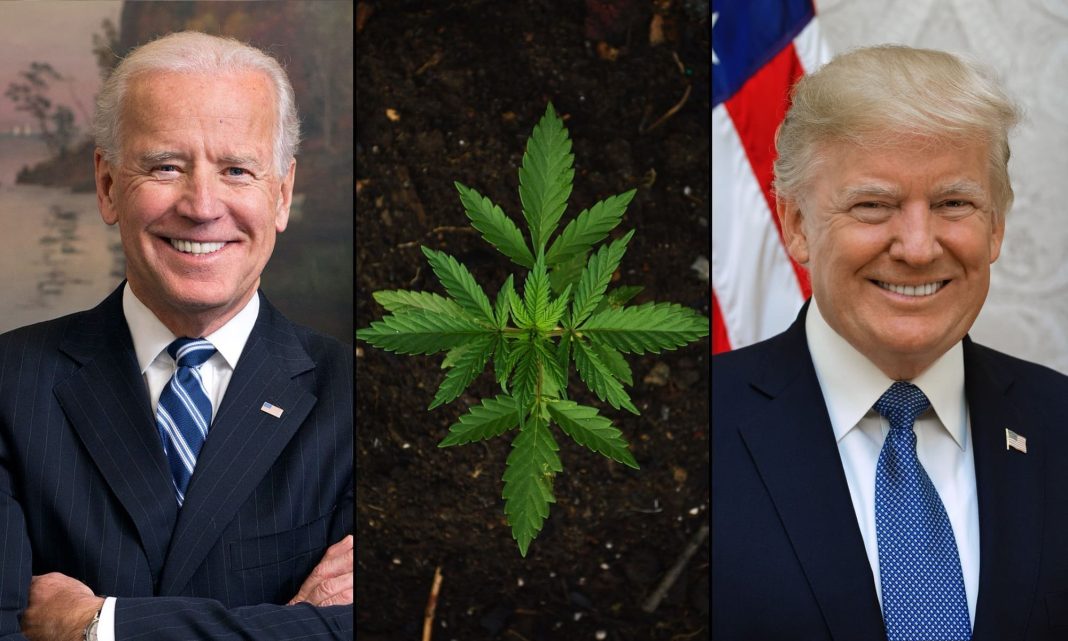 Newly Revealed Biden Marijuana Guidance Rescinded By Trump DOJ Told Prosecutors To Be 'Extremely Cautious' About Cannabis Cases