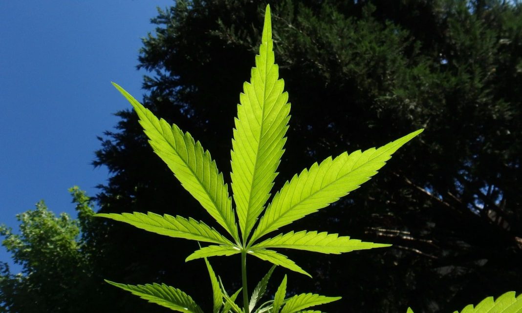Ohio Activists Plan Referendum To Block New Law Rolling Back Marijuana Rights And Restricting Hemp Sales
