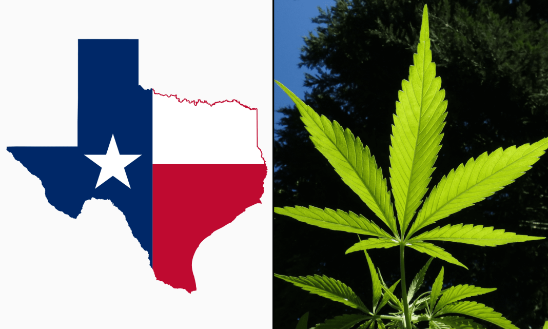 Texas Officials Approve Nine New Medical Marijuana Business Licenses As State Expands Patient Access