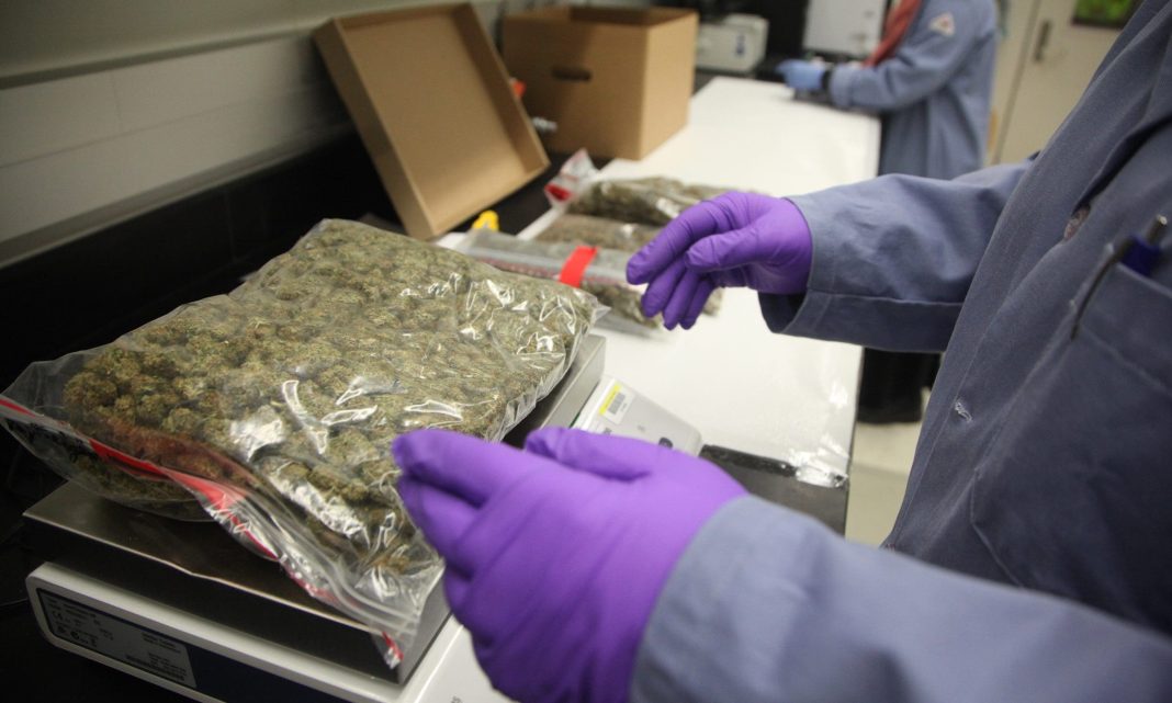 Michigan Lawmakers Weigh Bill To Create Statewide Cannabis Reference Lab To Standardize Testing
