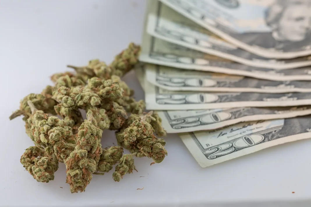 West Virginia House Passes Bill To Allocate Medical Marijuana Revenue, With Some Supporting Psychedelic Research