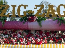 Zig-Zag festival season
