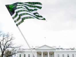 Cannabis Rescheduling: What You Need to Know