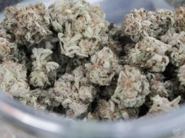 Colorado Marijuana Officials Announce Crackdown On Sales Of Hemp Products Amid 'Risks To Public Safety'