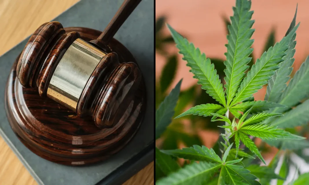 Illinois Court Hears Final Lawsuit Challenging Marijuana Social Equity Business Licensing Lottery