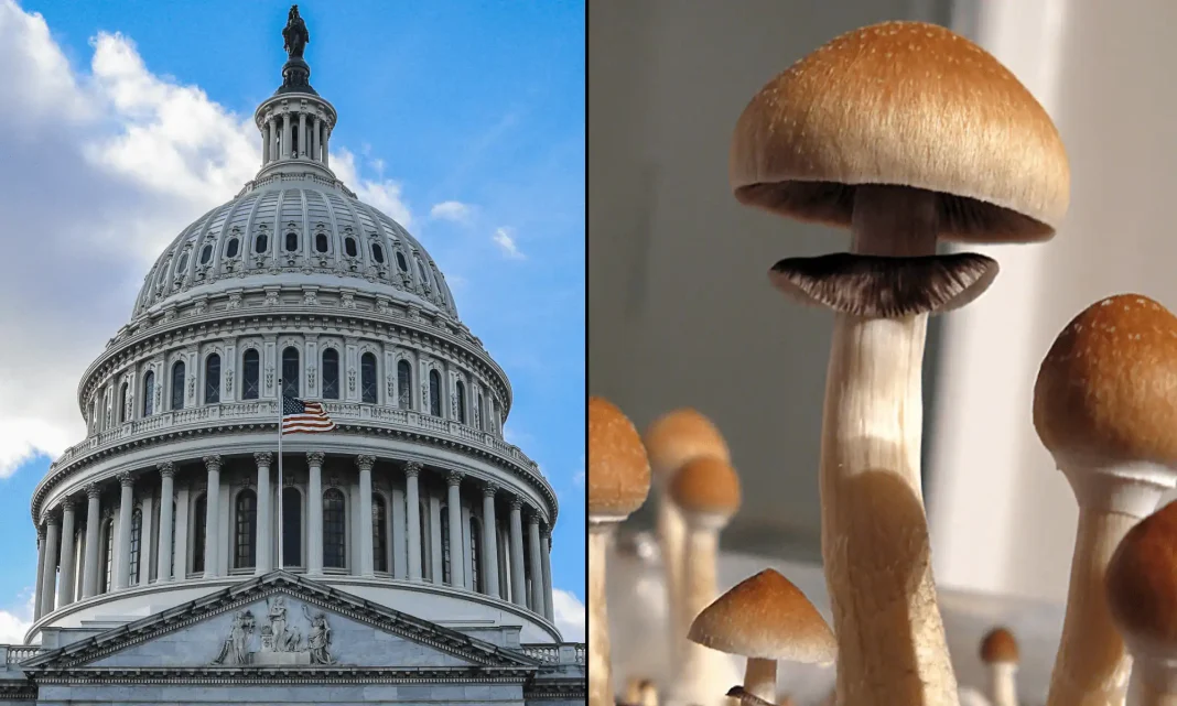 Bipartisan Lawmakers Push FDA To Speed Up Approval Of Psychedelic Therapies