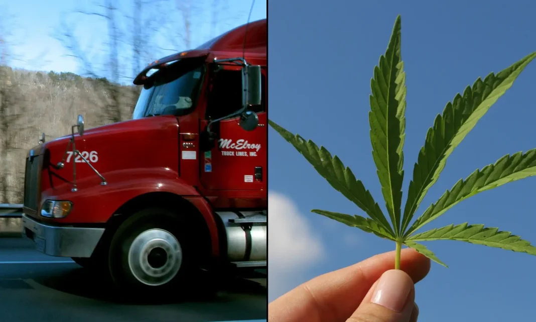 Federal Drug Testing Rule Will Require 'Directly Observed' Urine Collection From Truck Drivers