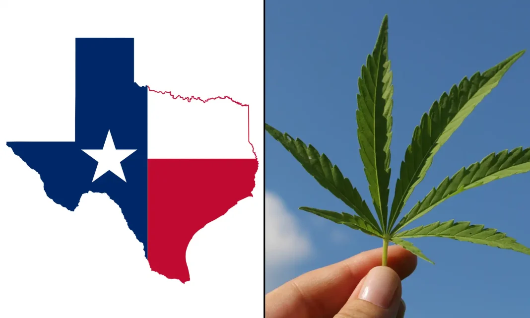 Texas Judge Allows Smokable Hemp And Other Products To Be Sold, Blocking State Ban From Being Enforced